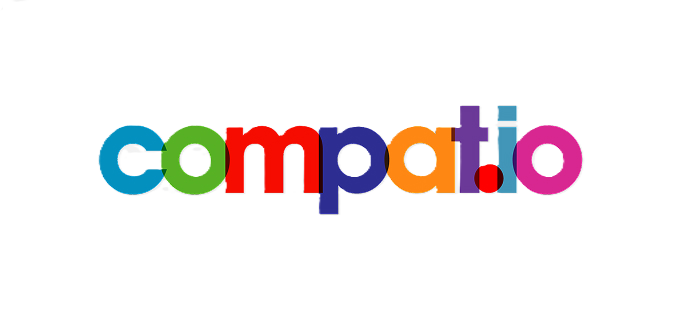 Partner Logo